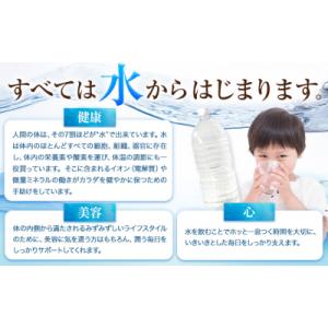 ふるさと納税 玉東町 熊本イオン純天然水 ラベルレス 2L×20本 《8月中旬-9月中旬頃出荷》