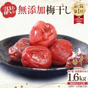 ふるさと納税 角田市 【先行予約】<訳あり>まごころ手作り梅干し1.6kg800g×2)10月上旬以...