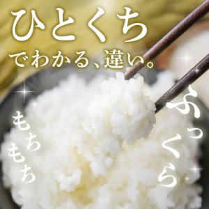 ふるさと納税 神埼市 【令和8年産 新米先行受...の詳細画像1