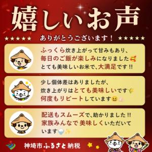 ふるさと納税 神埼市 【令和8年産 新米先行受...の詳細画像2