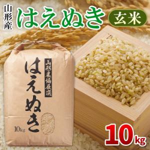 ふるさと納税 山形市 はえぬき 玄米 10kg FY26-054