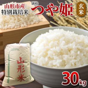 ふるさと納税 山形市 特別栽培米 つや姫 玄米30kg FY26-068
