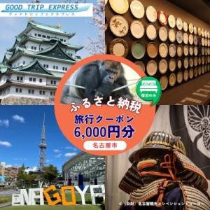 ふるさと納税 名古屋市 ≪宿泊のみ≫名古屋市に泊まる ふるさと納税旅行クーポン【6,000円分】
