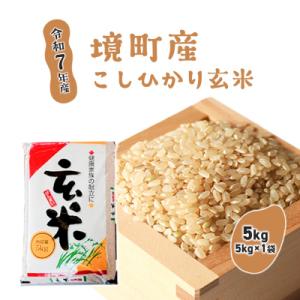ふるさと納税 境町 【令和7年産】米 玄米 コシヒカリ 5kg(5kg×1袋) 国産 ご飯 茨城県 境町産