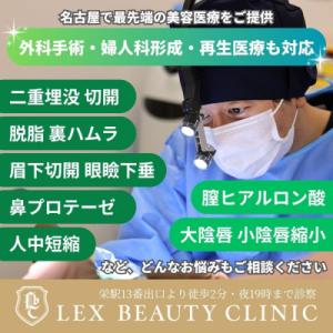 ふるさと納税 名古屋市 美容医療 LEX BE...の詳細画像2