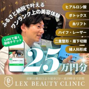 ふるさと納税 名古屋市 美容医療　LEX BEAUTY CLINIC　名古屋　栄　施術チケット25万円分