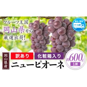 ふるさと納税 笠岡市 岡山県産 訳あり ニューピオーネ 約600g 1房《8月下旬-10月中旬頃出荷》岡山県 笠岡市 果物