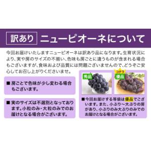 ふるさと納税 笠岡市 岡山県産 訳あり ニュー...の詳細画像2