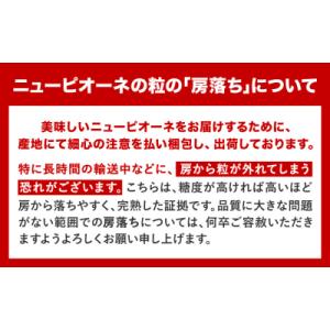 ふるさと納税 笠岡市 岡山県産 訳あり ニュー...の詳細画像3