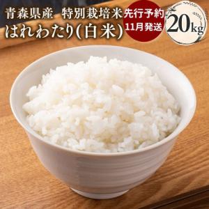 ふるさと納税 平川市 【令和8年産 先行受付 配送時期:2026年11月中旬〜】特別栽培米 はれわたり白米20kg
