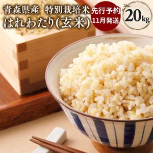 ふるさと納税 平川市 【令和8年産 先行受付 配送時期:2026年11月中旬〜】特別栽培米はれわたり玄米20kg