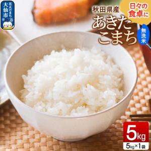 ふるさと納税 大仙市 米 あきたこまち【無洗米】5kg(5kg×1袋)令和7年産 秋田県産|22_sef-020501