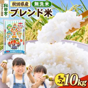 ふるさと納税 秋田市 ブレンド米【無洗米】秋田県産 10kg 5kg×2袋|15_zna-031001m