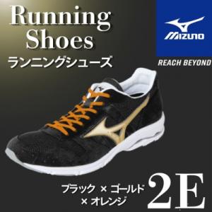 ふるさと納税 宍粟市 ミズノ ランニングシューズ【ブラック×ゴールド×オレンジ 2E】AO81