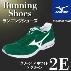 ふるさと納税 宍粟市 ミズノ ランニングシューズ【グリーン×ホワイト×グリーン 2E】AO82