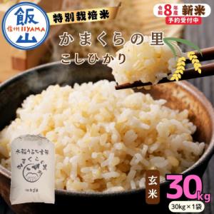 ふるさと納税 飯山市 【令和8年新米予約】特別栽培米 「かまくらの里 コシヒカリ」 玄米 30kg (30kg×1袋)