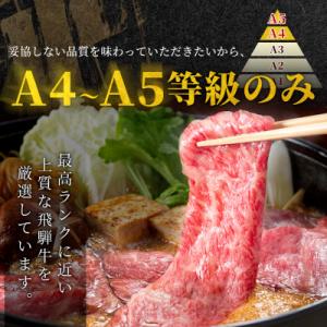 ふるさと納税 七宗町 飛騨牛 もも・かた肉 9...の詳細画像2