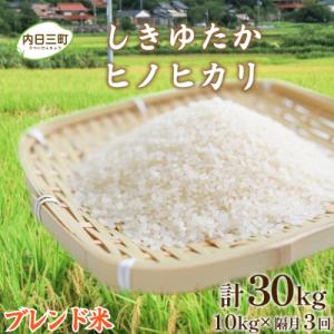 ふるさと納税 下関市 【令和7年産】定期便 Wブレンド米10kg 隔月3回 山口県産 《内日三町:DZ8016》