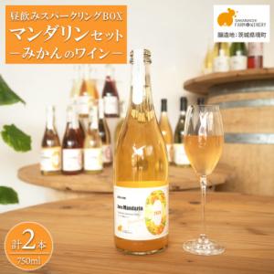 ふるさと納税 境町 【訳あり】ワイン スパークリングワイン マンダリン2本セット 750ml 辛口 ...