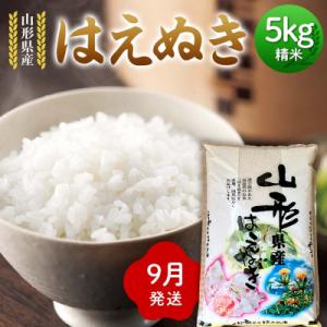 ふるさと納税 戸沢村 ≪2026年9月発送≫ 令和7年度 山形県産 はえぬき 5kg 精米 F7W-0286