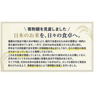 ふるさと納税 野木町 令和7年度産 米 栃木県産 コシヒカリ 白米 10kg《7-14日以内に出荷予定(土日祝除く)》