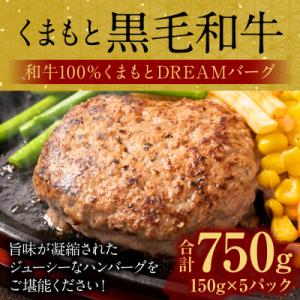 ふるさと納税 八代市 くまもとDREAMバーグ ...の商品画像