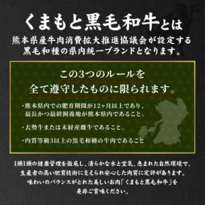 ふるさと納税 八代市 くまもとDREAMバーグ...の詳細画像1