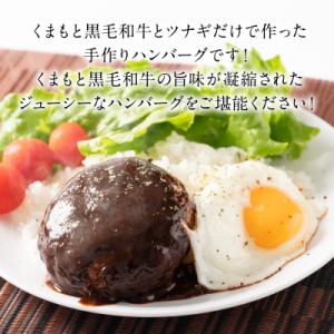 ふるさと納税 八代市 くまもとDREAMバーグ...の詳細画像2