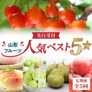 ふるさと納税 大江町 《先行受付》山形フルーツ人気ベスト5★【定期便全5回】 060-T13