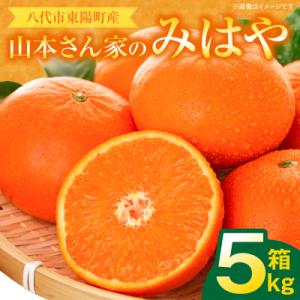 ふるさと納税 八代市 【先行予約】「みはや」 5kg みかん 【2026年12月上旬より順次発送】_065-2660-B