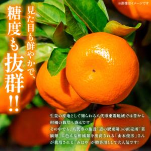 ふるさと納税 八代市 【先行予約】「みはや」 ...の詳細画像1