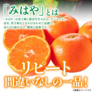 ふるさと納税 八代市 【先行予約】「みはや」 ...の詳細画像2