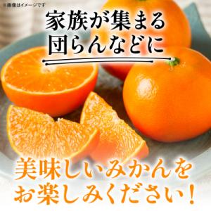 ふるさと納税 八代市 【先行予約】「みはや」 ...の詳細画像3