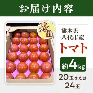 ふるさと納税 八代市 【先行予約】 熊本県八代...の詳細画像1