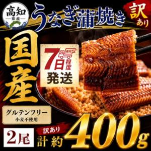 ふるさと納税 香南市 【訳あり】国産うなぎ 蒲焼き 2尾 計約400g うなぎの蒲焼き 鰻蒲焼き Sfb-0228
