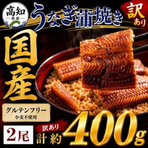 ふるさと納税 香南市 【訳あり】国産うなぎ 蒲焼き 2尾 計約400g うなぎの蒲焼き 鰻蒲焼き S...