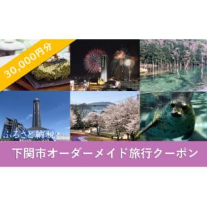 ふるさと納税 下関市 下関 オーダーメイド 旅行 クーポン 30,000円分 1枚 旅のコンサルティ...