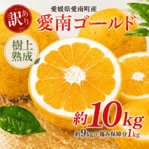 ふるさと納税 愛南町 木成り 追熟 訳あり 愛南ゴールド 約10kg 河内晩柑 柑橘 みかん エニシ...