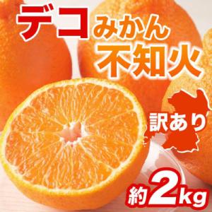 ふるさと納税 八代市 【先行予約】【訳あり】不知火 約2kg【2027年1月中旬より順次発送】_23...