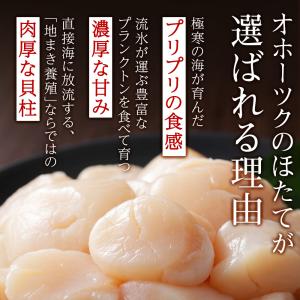 ふるさと納税 浜頓別町 ☆ホタテ 玉冷 フレー...の詳細画像1