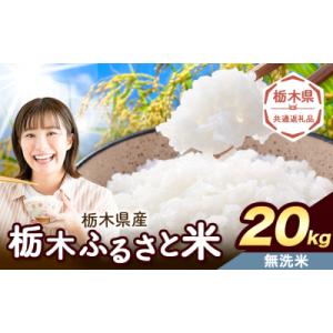 ふるさと納税 野木町 栃木ふるさと米 無洗米 20kg 栃木県 野木町《7-14日以内》【栃木県共通返礼品】