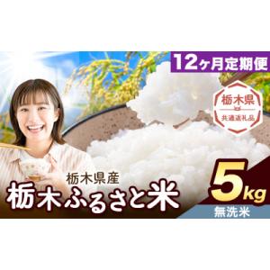 ふるさと納税 野木町 【12ヶ月定期便】栃木ふるさと米 無洗米 5kg 栃木県 野木町《翌月から出荷》【栃木県共通返礼品】