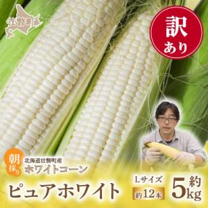 ふるさと納税 壮瞥町 【訳あり】ピュアホワイト(ホワイトコーン)Lサイズ以上12本(約5kg) 朝採り SBTQ016