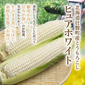 ふるさと納税 壮瞥町 【訳あり】ピュアホワイト...の詳細画像1