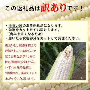 ふるさと納税 壮瞥町 【訳あり】ピュアホワイト...の詳細画像2