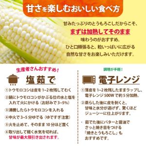 ふるさと納税 壮瞥町 【訳あり】ピュアホワイト...の詳細画像3