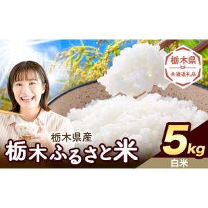 ふるさと納税 野木町 栃木ふるさと米 白米 5kg 栃木県 野木町《1-5日以内》【栃木県共通返礼品】