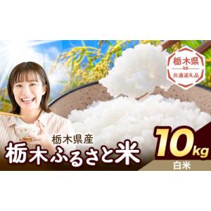 ふるさと納税 野木町 栃木ふるさと米 白米 10kg 栃木県 野木町《1-5日以内》【栃木県共通返礼品】