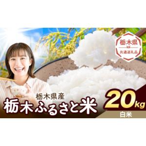 ふるさと納税 野木町 栃木ふるさと米 白米 20kg 栃木県 野木町《1-5日以内》【栃木県共通返礼品】