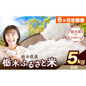 ふるさと納税 野木町 【6ヶ月定期便】栃木ふるさと米 白米 5kg 栃木県 野木町《翌月から出荷》【栃木県共通返礼品】